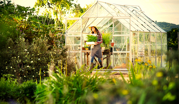 Med drivhus kan du dyrke egen mat hele året