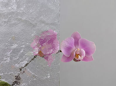 Strippolite
